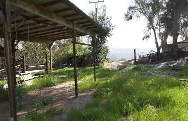 area 5 coral e facing w-376x243