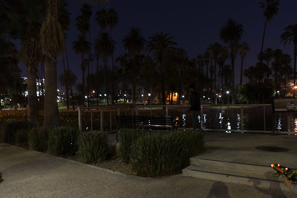 Echo Park Lake 20080912 JH003