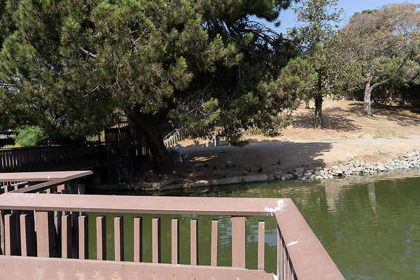 Hollenbeck Park 180911JH041