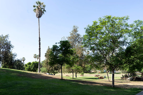 Hollenbeck Park 180911JH086