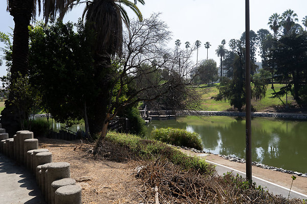 Hollenbeck Park 180911JH032