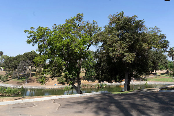 Hollenbeck Park 180911JH078