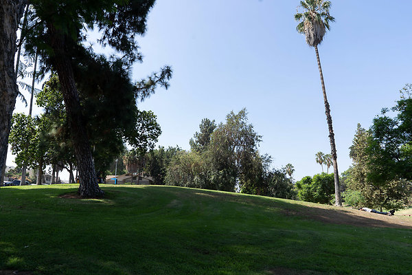 Hollenbeck Park 180911JH085