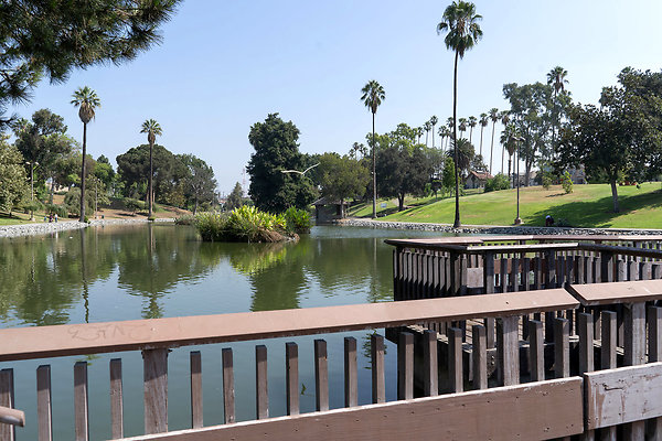 Hollenbeck Park 180911JH037