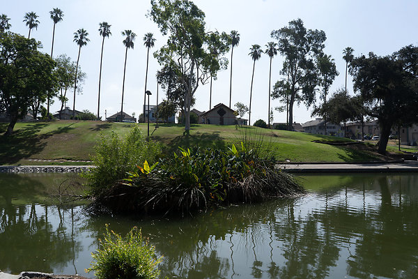 Hollenbeck Park 180911JH014