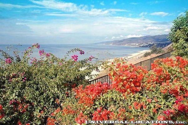 film location418809 26 31