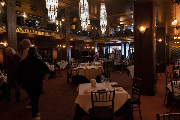 CicadaScout20180925JH032