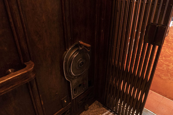 CicadaScout20180925JH078