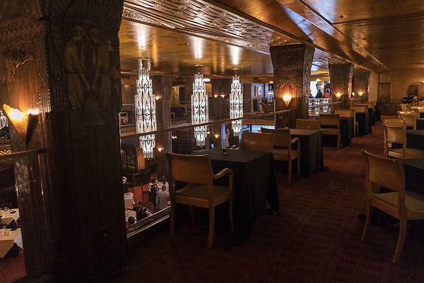 CicadaScout20180925JH039