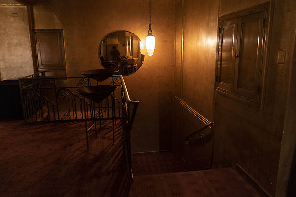 CicadaScout20180925JH068