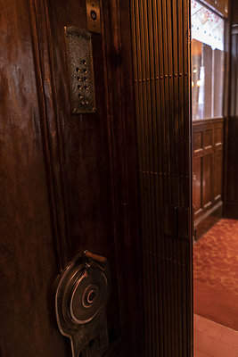 CicadaScout20180925JH077