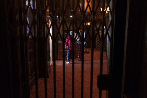 CicadaScout20180925JH079