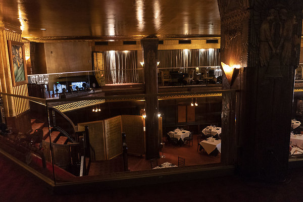 CicadaScout20180925JH038