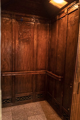 CicadaScout20180925JH076