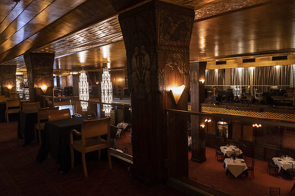 CicadaScout20180925JH065