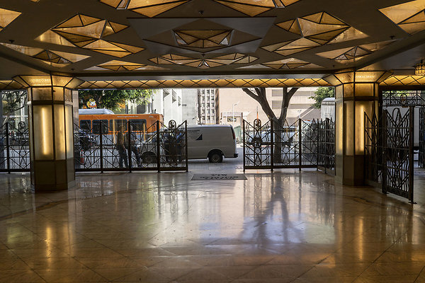 CicadaScout20180925JH018