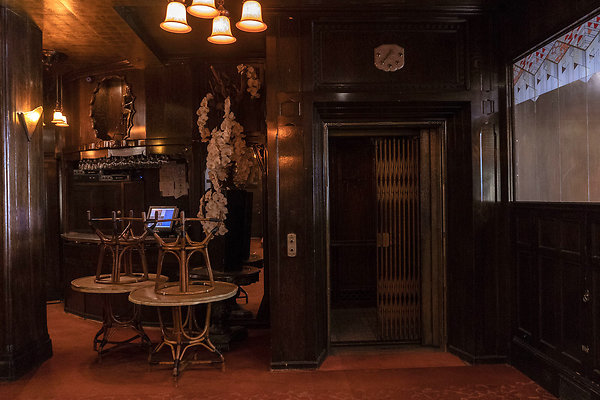 CicadaScout20180925JH073