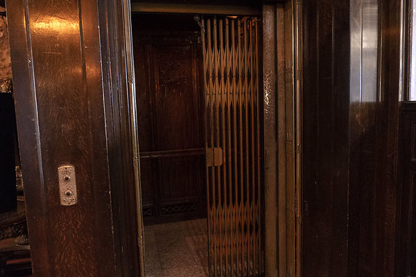 CicadaScout20180925JH075