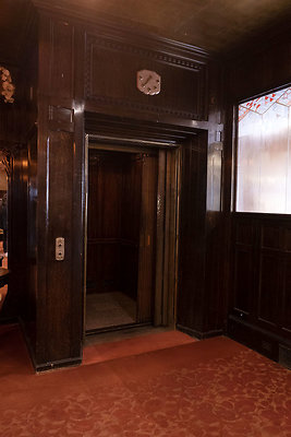 CicadaScout20180925JH074