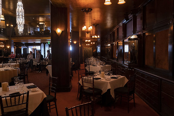 CicadaScout20180925JH033