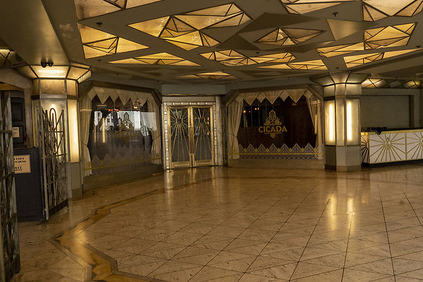 CicadaScout20180925JH006