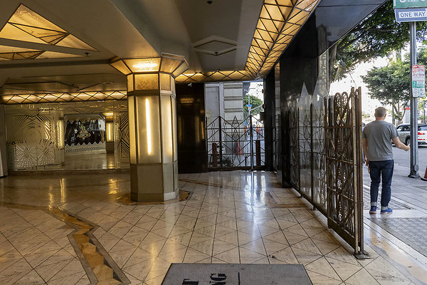 CicadaScout20180925JH008