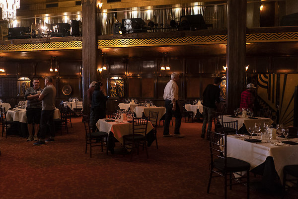 CicadaScout20180925JH029