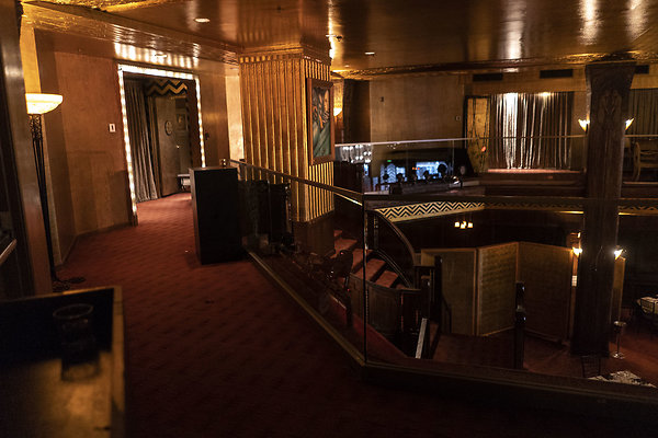 CicadaScout20180925JH037