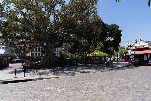 Olvera St 180911JH035