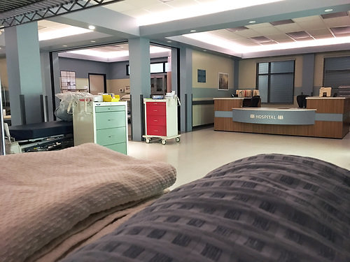 Capital+Arts+Set,+Hospital (22)