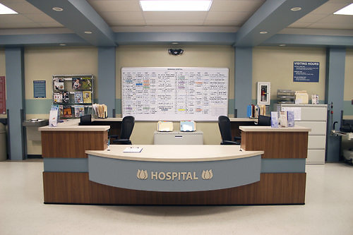 Capital+Arts+Set,+Hospital (3)