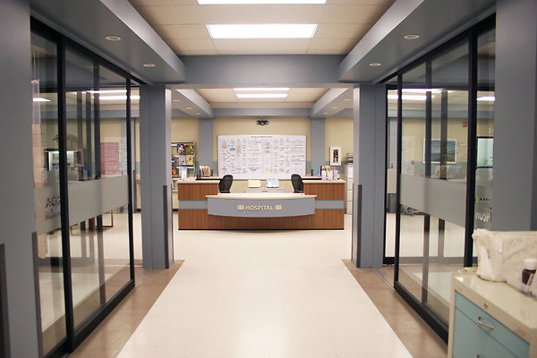 Capital+Arts+Set,+Hospital (2)