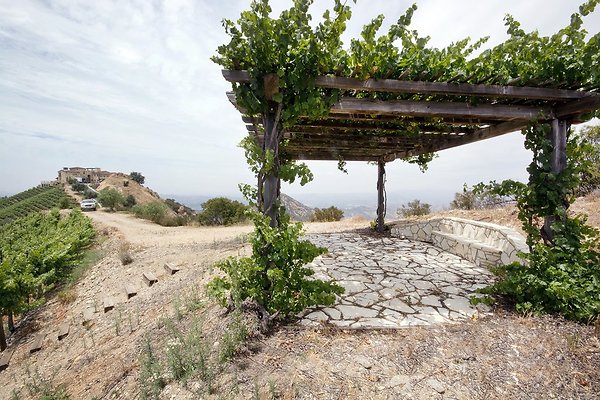 VILLA340 079 1024x1024 - ICON Locations | Malibu Rocky Oats