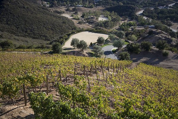 VILLA340 083 1024x1024 - ICON Locations | Malibu Rocky Oats