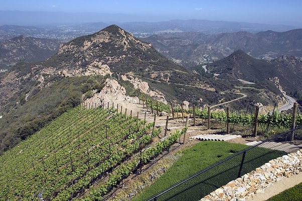 VILLA340 069 1024x1024 - ICON Locations | Malibu Rocky Oats