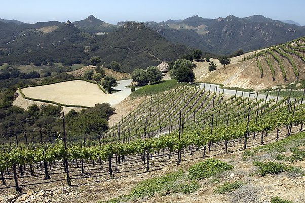 VILLA340 077 1024x1024 - ICON Locations | Malibu Rocky Oats