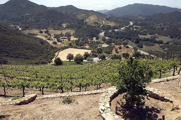 VILLA340 071 1024x1024 - ICON Locations | Malibu Rocky Oats