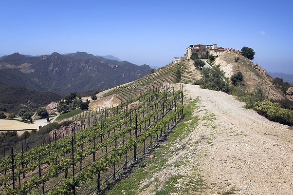 VILLA340 082 1024x1024 - ICON Locations | Malibu Rocky Oats