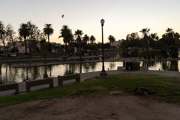 MacArthurPark 20180912JH044