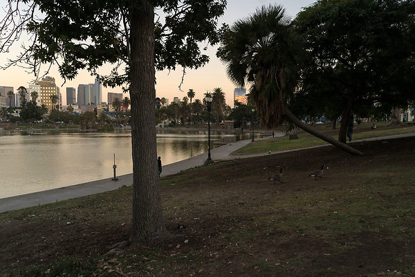 MacArthurPark 20180912JH022