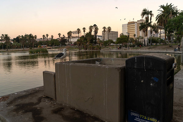 MacArthurPark 20180912JH033