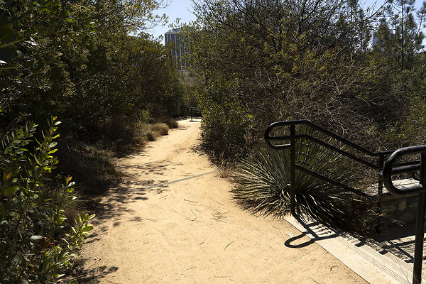 VistaHermosaNaturalPark 201809JH017