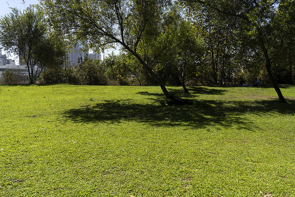 VistaHermosaNaturalPark 201809JH026