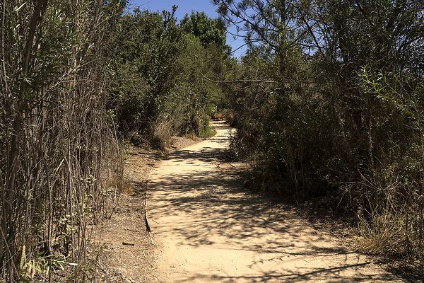 VistaHermosaNaturalPark 201809JH018