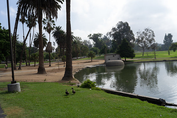 Lincoln Park 180911JH012