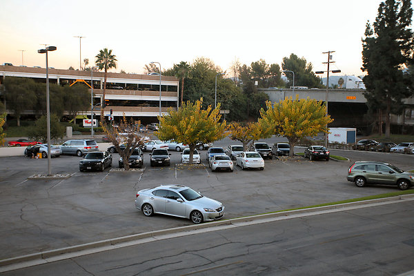 SunkistBuilding 2013-12-12 STST 014