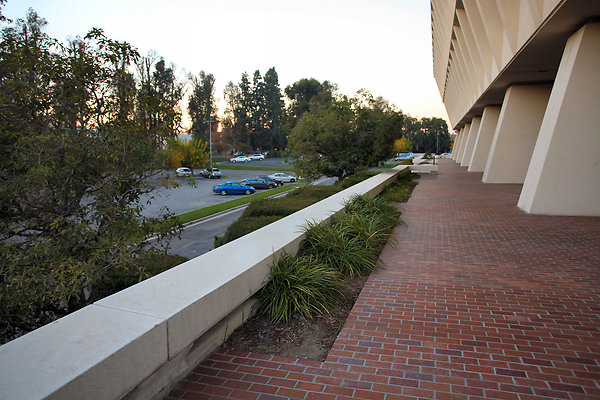 SunkistBuilding 2013-12-12 STST 018