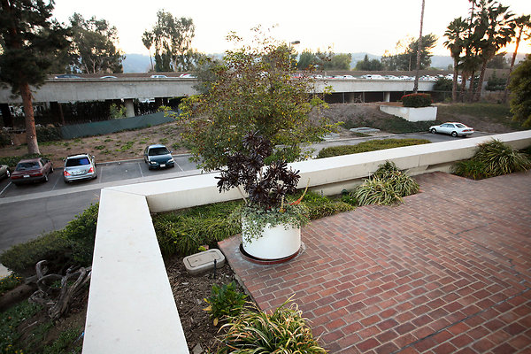 SunkistBuilding 2013-12-12 STST 016