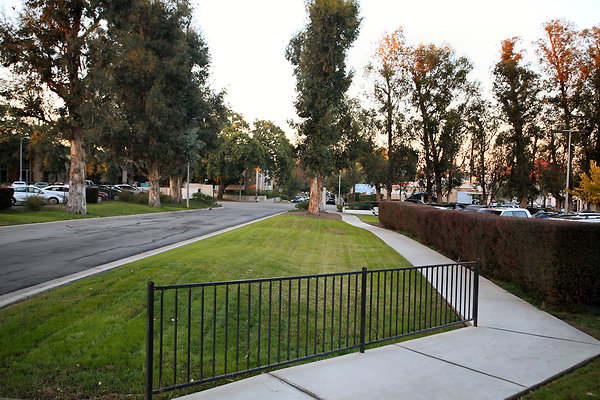 SunkistBuilding 2013-12-12 STST 004