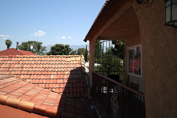 Flamingo Inn 20150615034